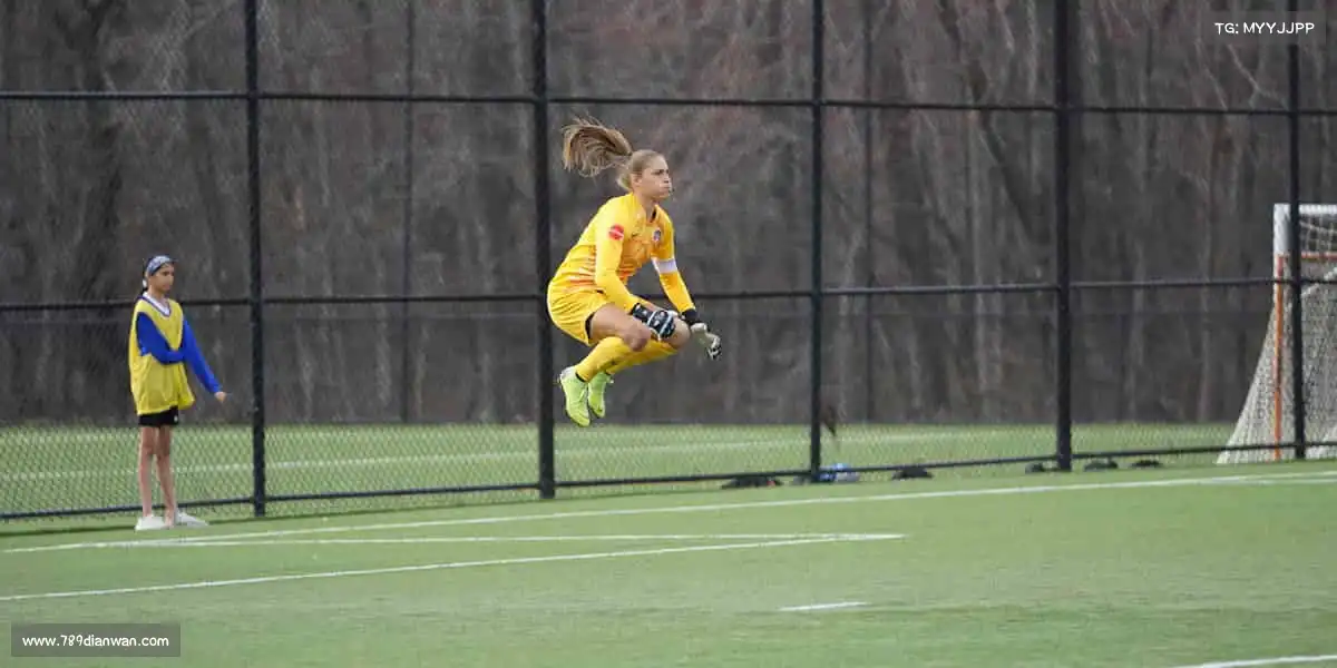 为什么选择我们